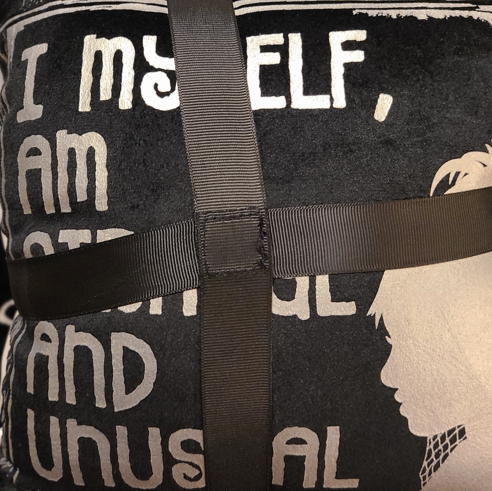 Beetlejuice pillow set